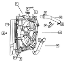 Radiator Cap