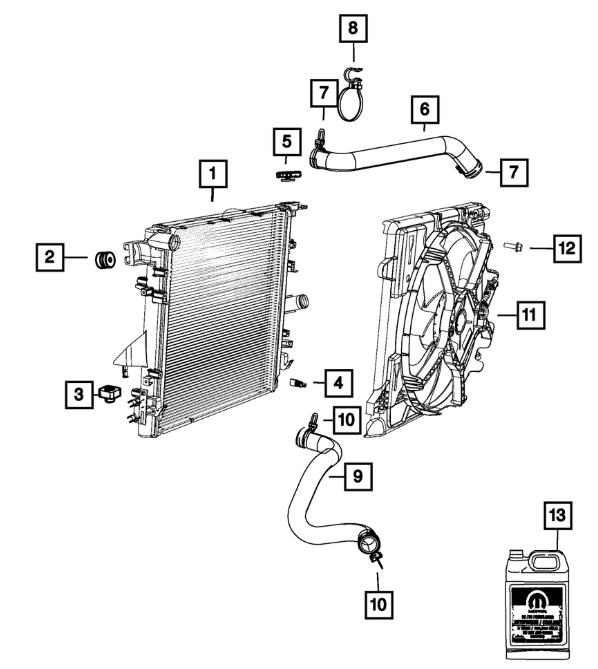 Radiator Hose Lower