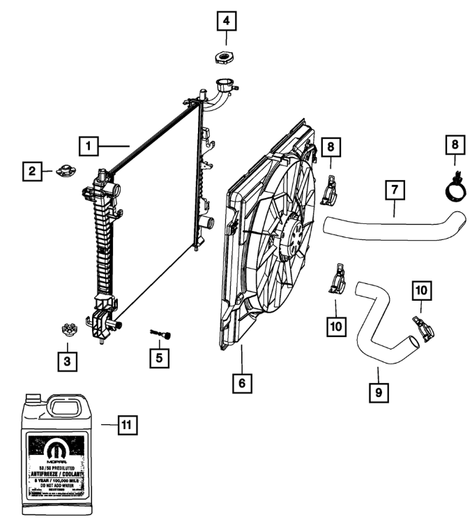Radiator Hose Lower