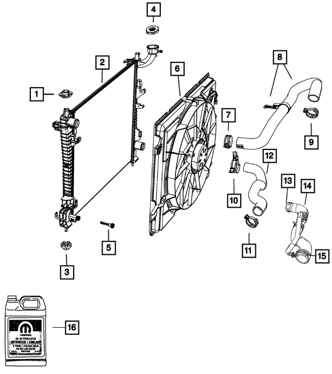 Radiator Hose Lower