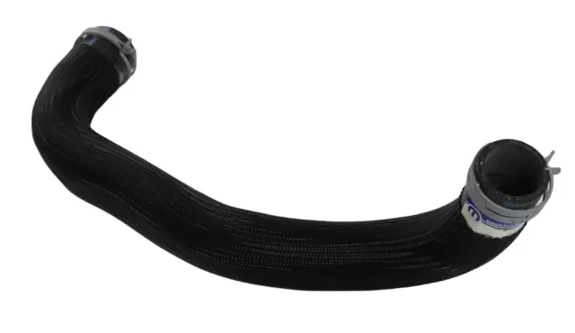 Radiator Hose Upper (Ram 1500, 6.2L)