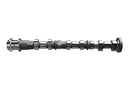 Camshaft Intake LH